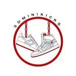 3dminikicks coupons and promo codes