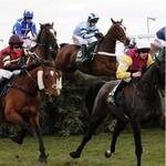 Aintree Grand National coupons and promo codes