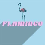 Flamingo coupons and promo codes