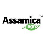 Assamica Agro coupons and promo codes