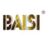 Baisi Hair coupons and promo codes