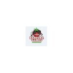 Bandura Games coupons and promo codes