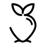 Berberae coupons and promo codes