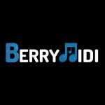 Berry Midi coupons and promo codes