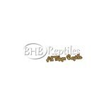 BHB Reptiles coupons and promo codes