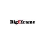 Bigeframe coupons and promo codes