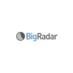 BigRadar coupons and promo codes