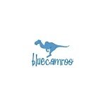 BlueCamroo coupons and promo codes