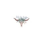 Blue Ox CBD coupons and promo codes