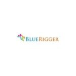 BlueRigger coupons and promo codes