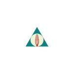 Bristle Brothers coupons and promo codes