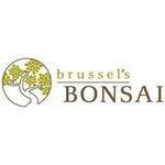 Brussel's Bonsai coupons and promo codes