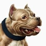 BullyMax coupons and promo codes