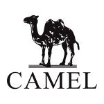American Camel International Invest Enterprise LTD coupons and promo codes