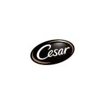 Cesar coupons and promo codes