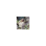 Charleston Anteater Sloth and Exotics coupons and promo codes