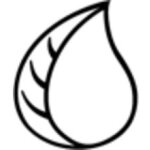 Chlorophyll Water coupons and promo codes