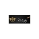 Colorfly coupons and promo codes