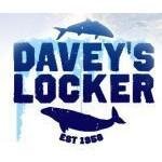 Daveyslockertickets.com coupons and promo codes