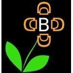 Divabelladesigns.com coupons and promo codes