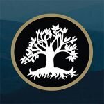 Dragon Tree CBD coupons and promo codes