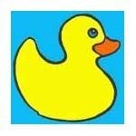 Ducksinarowrs.com coupons and promo codes