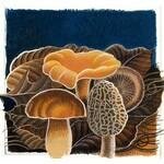 Earthy Delights coupons and promo codes