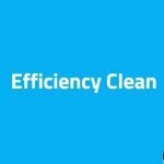 Efficiency Clean Codes coupons and promo codes