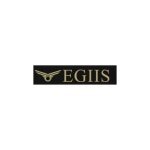 EGIIS coupons and promo codes