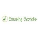 Emusing Secrets coupons and promo codes
