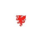 FA Wales coupons and promo codes