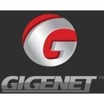 Gigenet coupons and promo codes