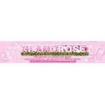 GLAMOROSE.COM coupons and promo codes