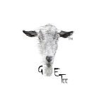 Goe Tee coupons and promo codes