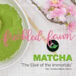 Got Matcha coupons and promo codes
