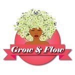 Grow & Flow coupons and promo codes