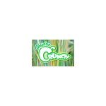 Hydro Crunch coupons and promo codes