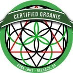 Kana Lume Codes coupons and promo codes