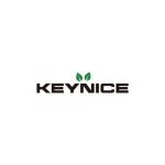 Keynice coupons and promo codes