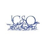 Las Colinas Symphony Orchestra coupons and promo codes