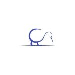 Lenses Online coupons and promo codes