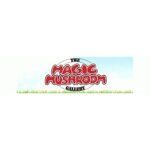 Magic Mushroom Gallery coupons and promo codes