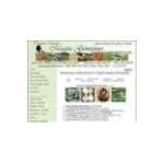 Magpie Gemstones coupons and promo codes