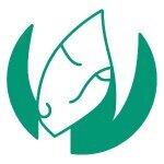 Mindful Mosaic coupons and promo codes