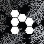 Nervous System coupons and promo codes