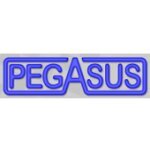 Pegasus Auto Racing Supplies coupons and promo codes