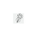 Photographybloom.com coupons and promo codes