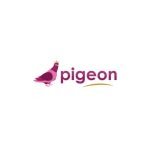 Pigeon Frame coupons and promo codes