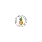 Pineapple Lain Boutique coupons and promo codes