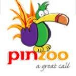 Pinzoo coupons and promo codes